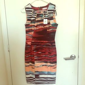Calvin Klein Dress Size 4 Tango/Capri multi color